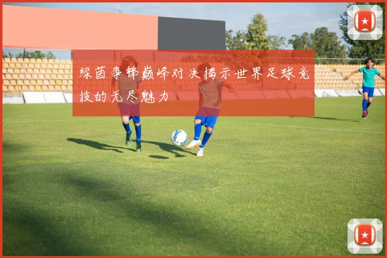 绿茵争锋巅峰对决揭示世界足球竞技的无尽魅力