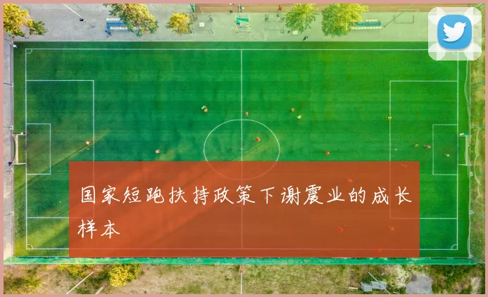 国家短跑扶持政策下谢震业的成长样本