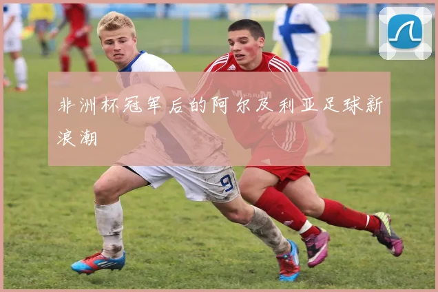 非洲杯冠军后的阿尔及利亚足球新浪潮