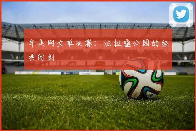 年美网女单决赛：法拉盛公园的经典时刻