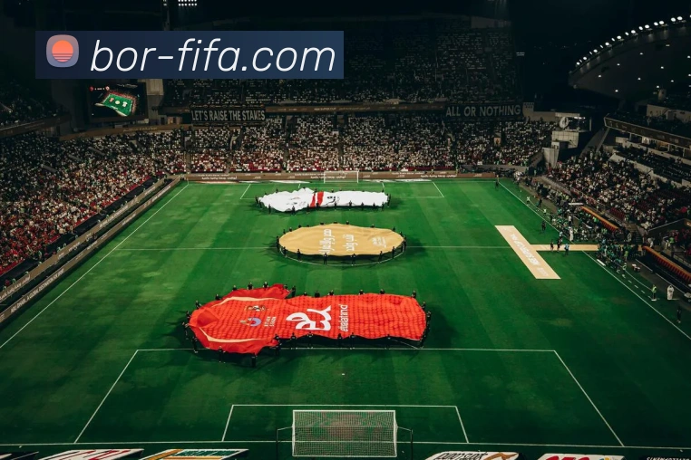 世界杯FIFA平台生态图